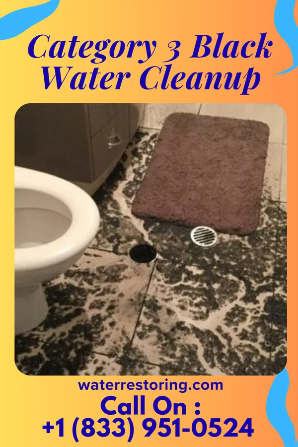 Category 3 Black Water Cleanup in North Laurel, MD