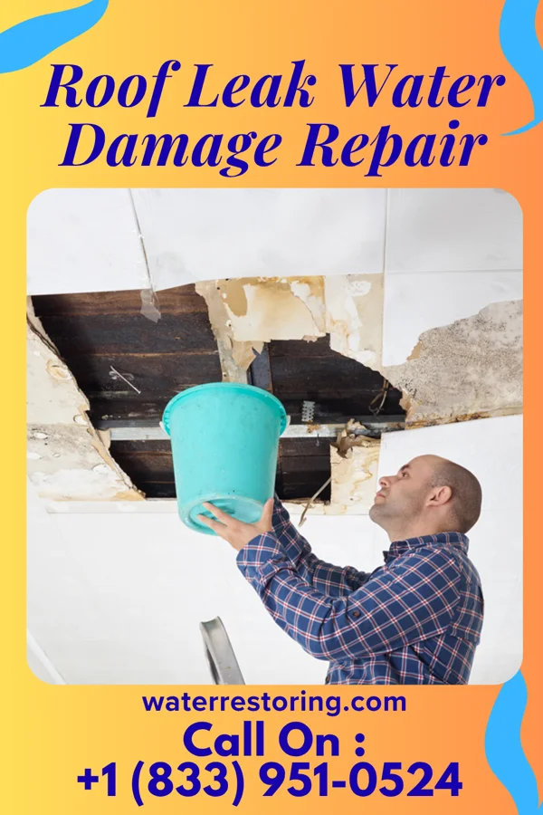 Roof Leak Water Damage Repair in North Laurel, MD