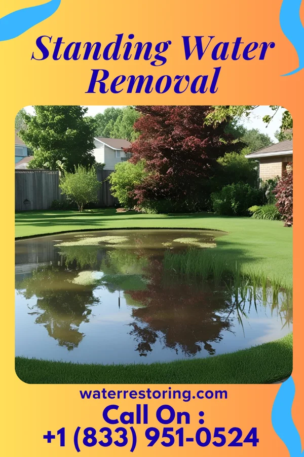 Standing Water Removal in North Laurel, MD